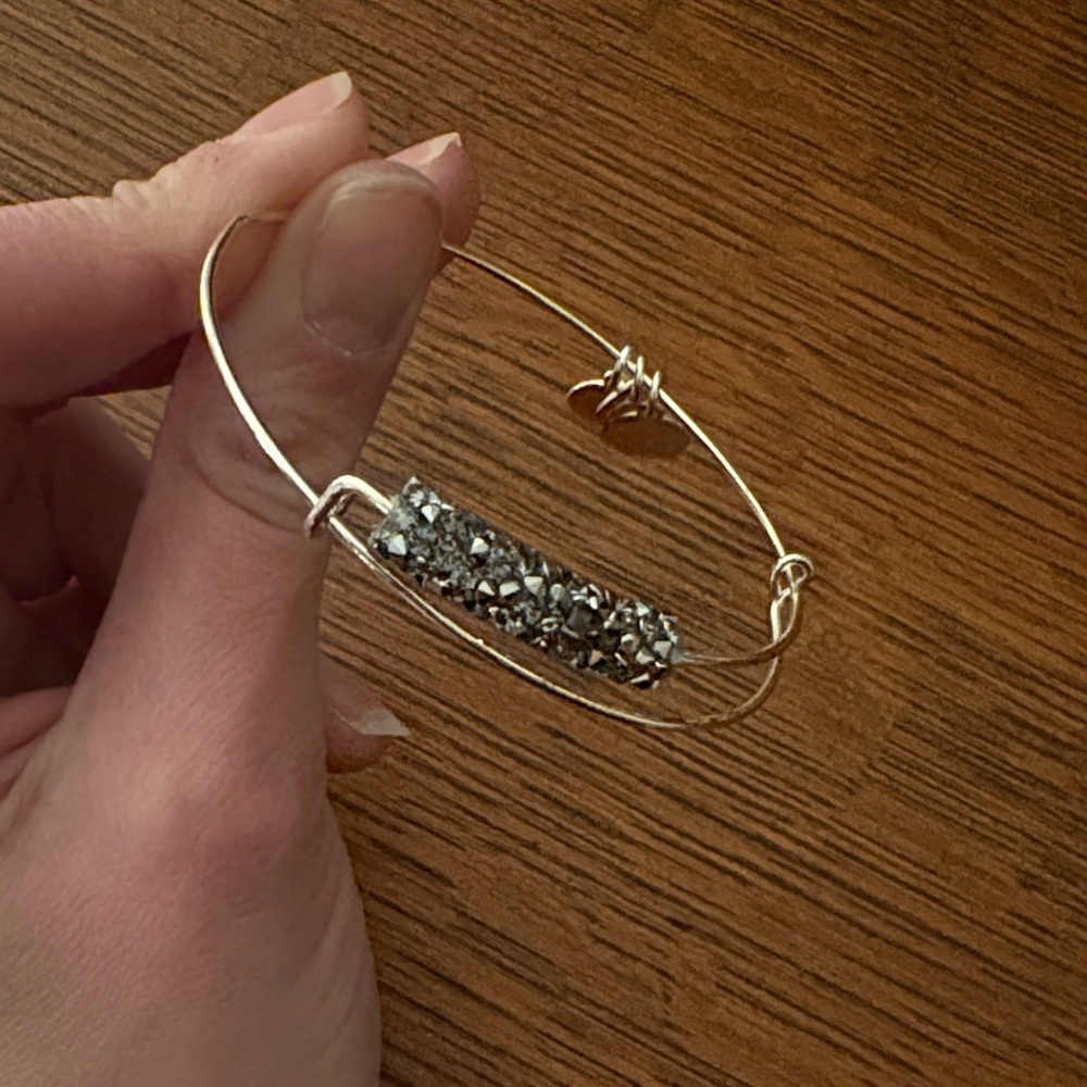 Alex and Ani fine rocks silver bangle